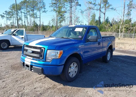 2013 Ford F-150 Stx z USA, uszkodzony, nr VIN 1FTMF1CM4DKG15729